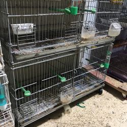 Canary Cage