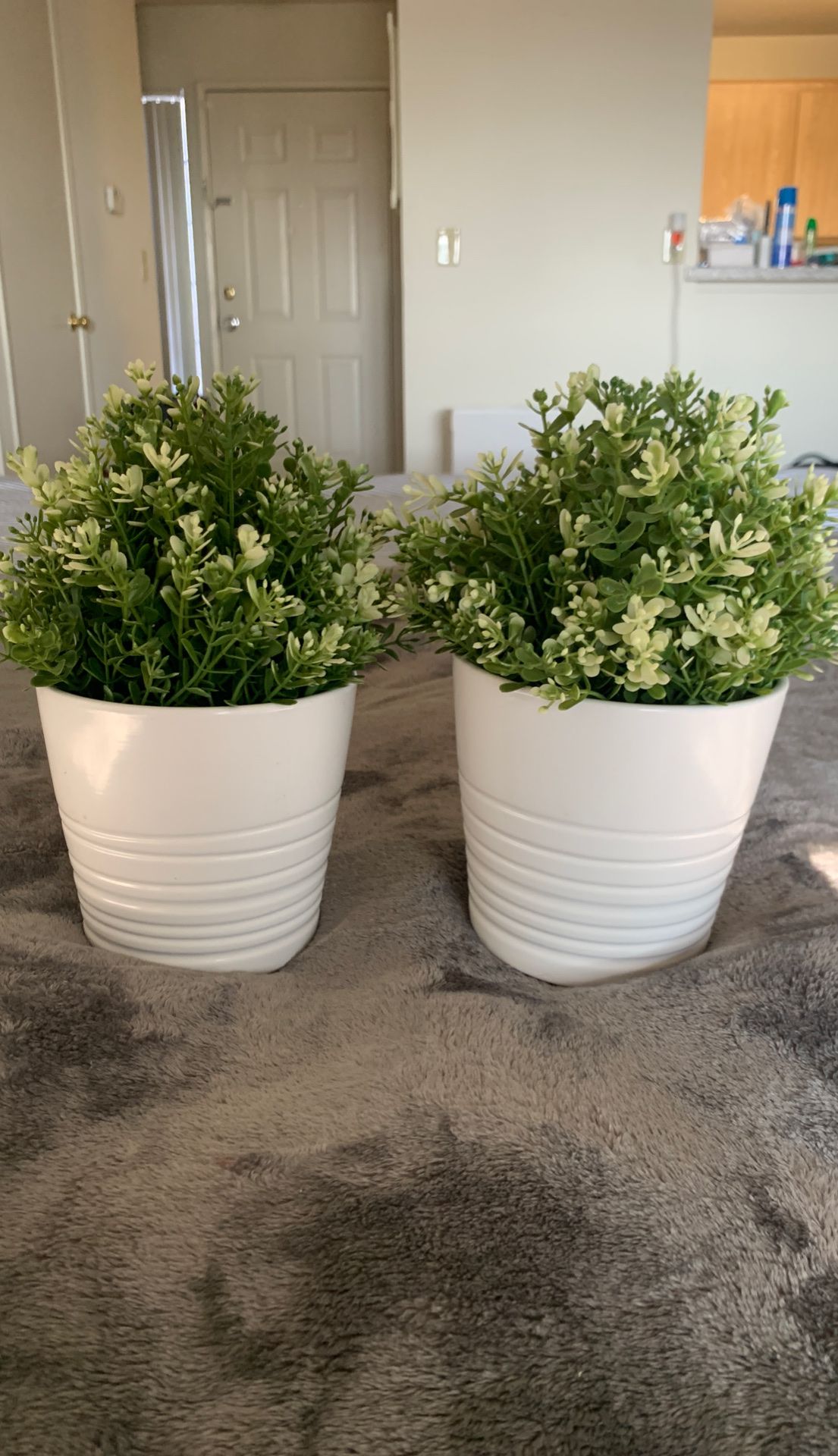 IKEA pots and plants