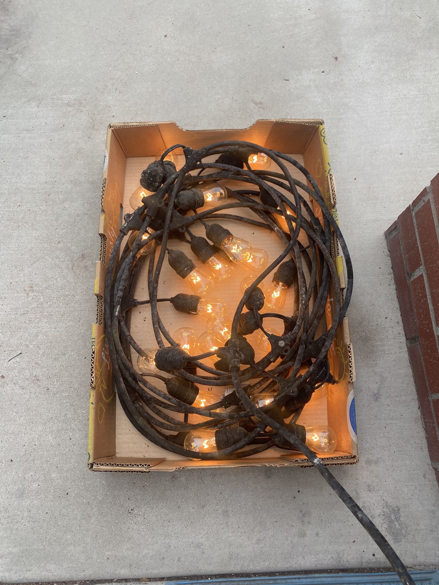 ~40 Foot Strand Market Lights