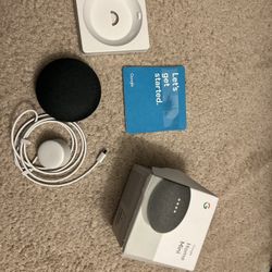 Google Mini Home