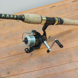 Traveling Fishing Pole And Reel Kit Compact