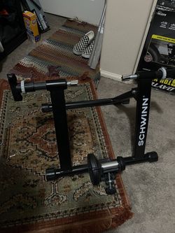 Schwinn Bicycle trainer works great