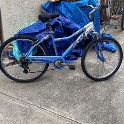 Avalon Mountain Bicycle 7speed 