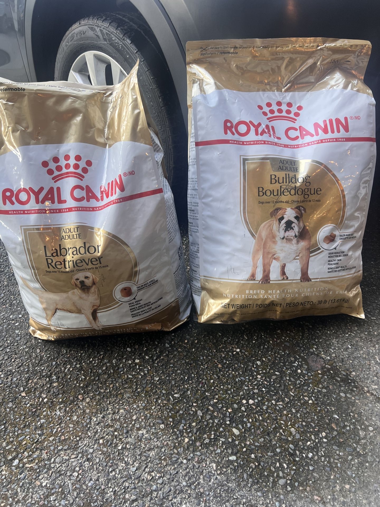 DOG FOOD 