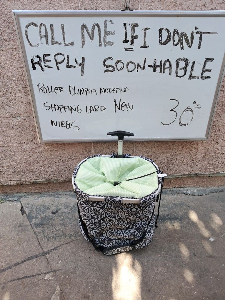 Shopping Bag With Wheels
