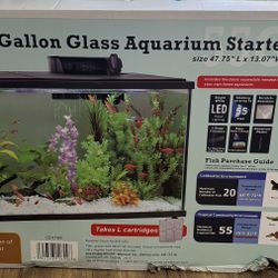 55 Gallon Glass Aquarium Starter Kit