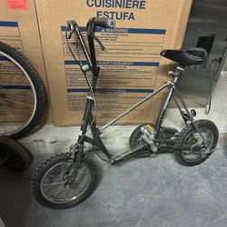 Picnica Folding Bike