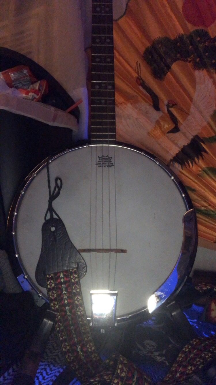 Remo Weather King Banjo