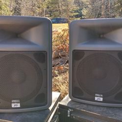 
🎤 Peavey PR15 Passive PA Speakers – 400W – Great Condition – $400