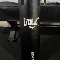 Everlast Punching Bag 70lbs