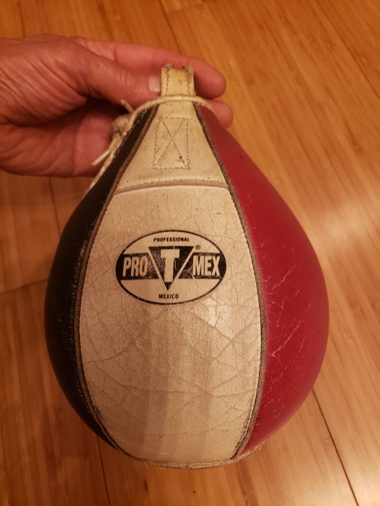 Speed Bag Boxing Punching