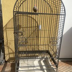 Large Metal Parrot Cage