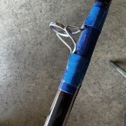 8,9 Ft Roddy Fishing Rod