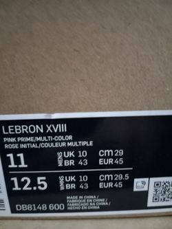 Nike LeBron XVIII (18) Size 11
