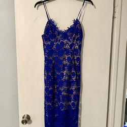 Bardot Cobalt Blue Lace Midi Dress – Size XS, NWT