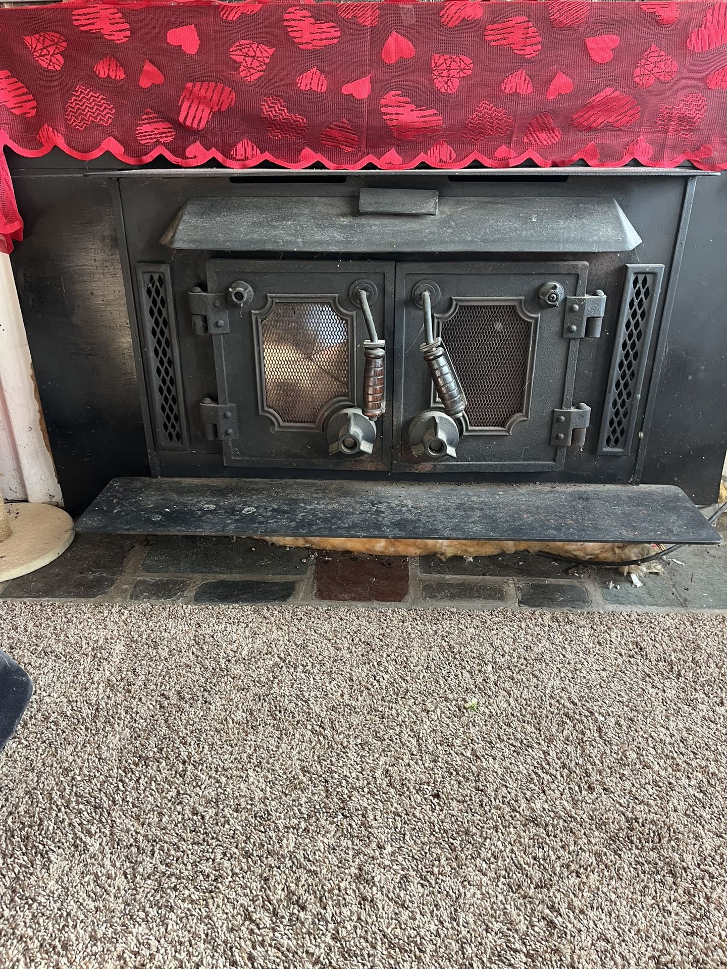 Wood Burning Fireplace Insert With Blower.