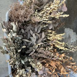Dried Flowers/greenery
