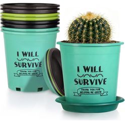 I Will Survive Plant Pots NIKONIKO 6.5 Inch Nursery Pots with Drainage and Saucers, 8 Pack pick up Coral Springs 33071
