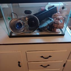 10 Gallon Reptile Tank