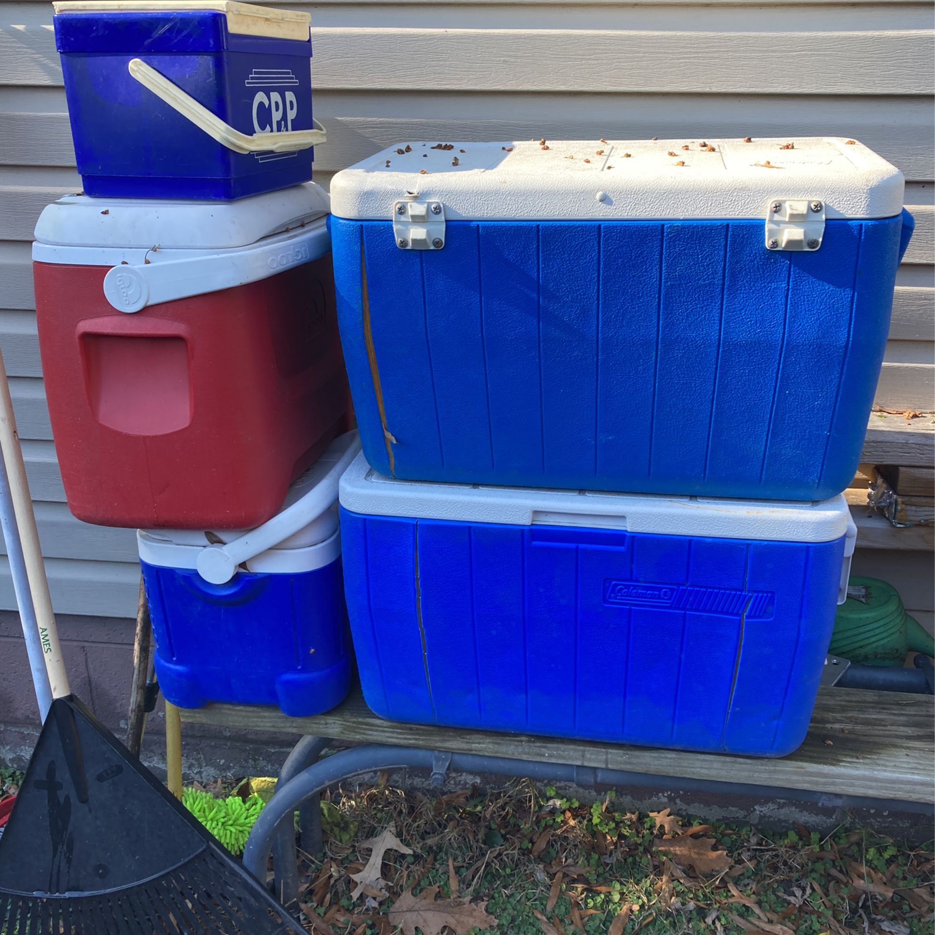 5 Coolers 10 Bucks For All Of Them