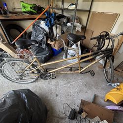 Raleigh 2 Seated Bicycle With Carriage 