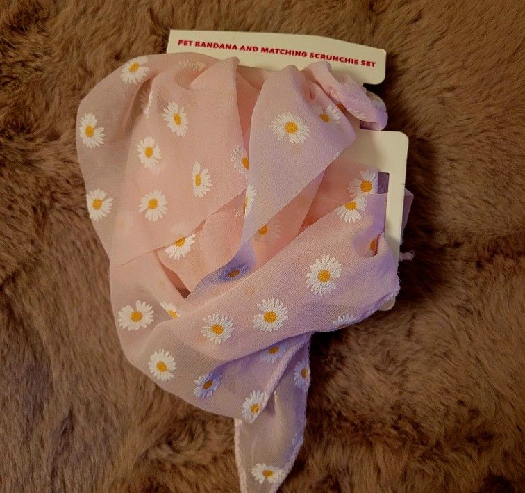 Pet Bandana and Scrunchie Set