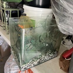 5 gallon glass tank 