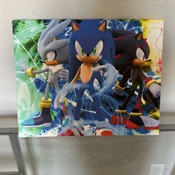Sonic Picture canvas