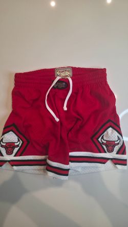 NBA Official Apperal  Mitchell and Ness Shorts