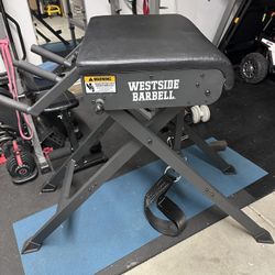 Rogue Reverse Hyper Scout