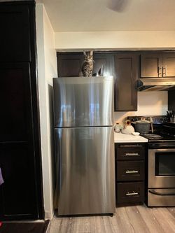 Refrigerator / 50% OFF