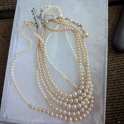 Culturade Fresh Water