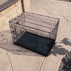 Kong Dog Kennel