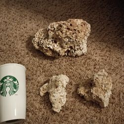 Real Reef Rock