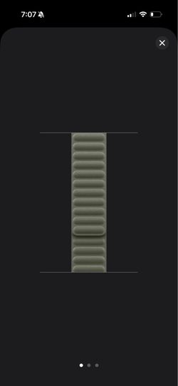 Apple 46mm Sage Gray Magnetic Link Band - S/M