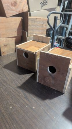 Love bird nest, nidos para agapornis pájaro del amor