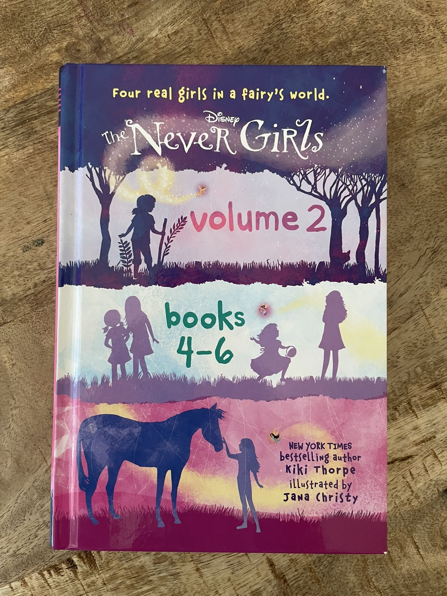 Disney The Never Girls Volume 2 (Books 4β6) | New | Early Chapter Book Series