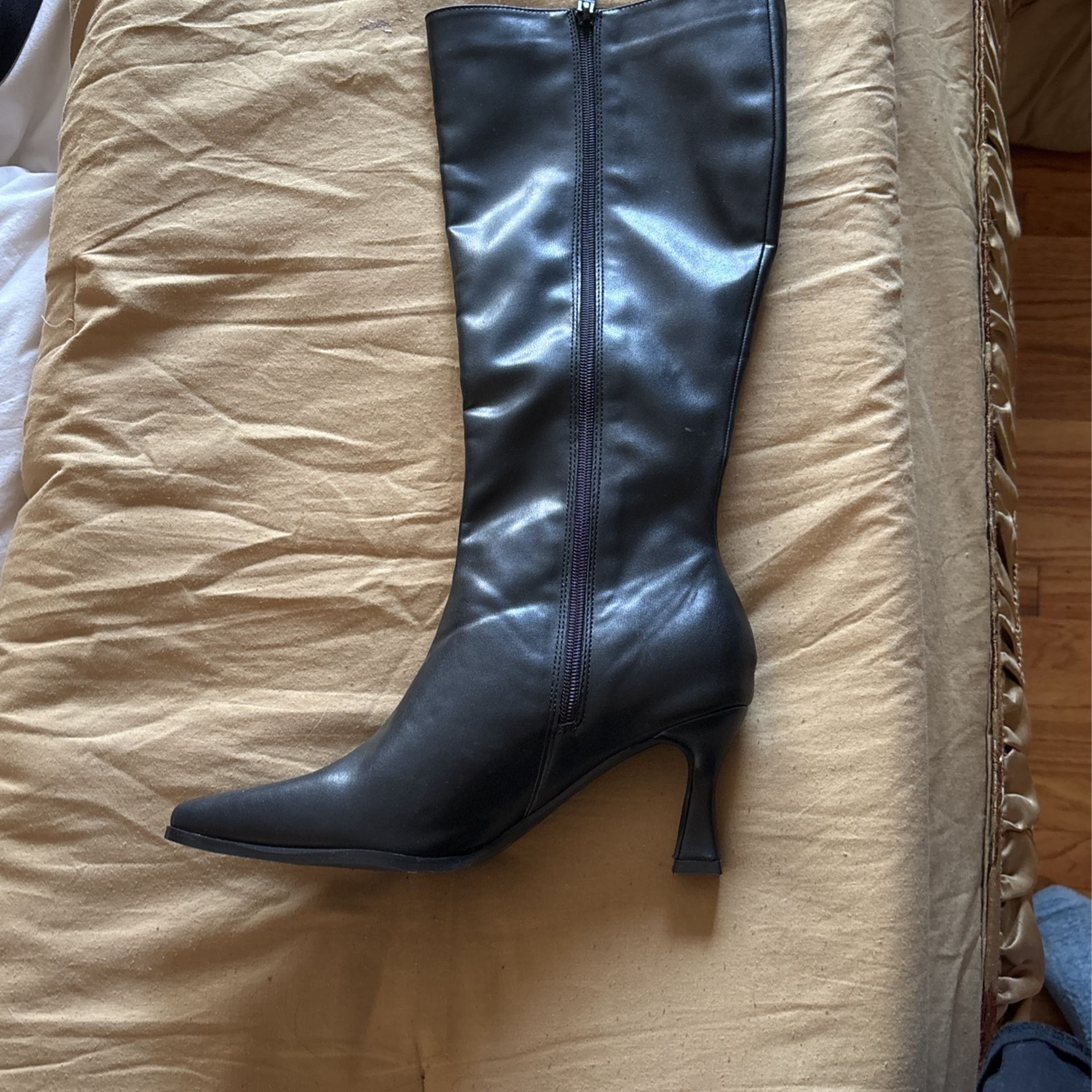 Long Boot With Small Heel 
