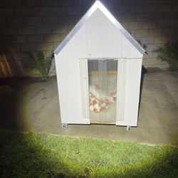 Dog House 