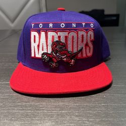 Raptors Snap Back