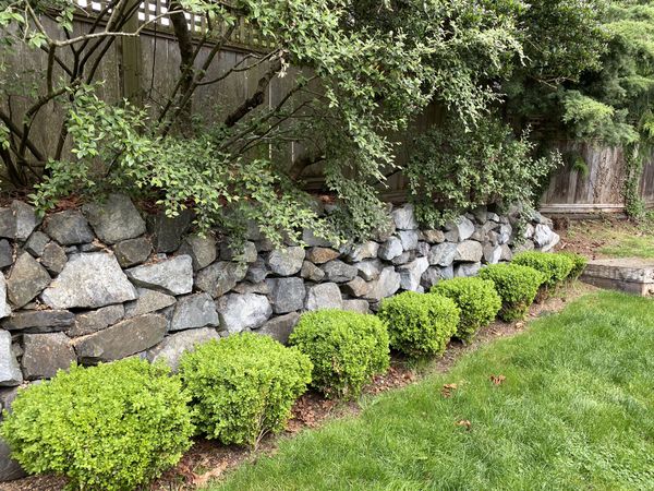 landscaping blue landscape rocks landscaping blue landscape rocks
