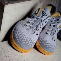 Kobe Venomenon 4 University Gold