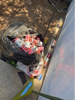 Cans and plastic bottles