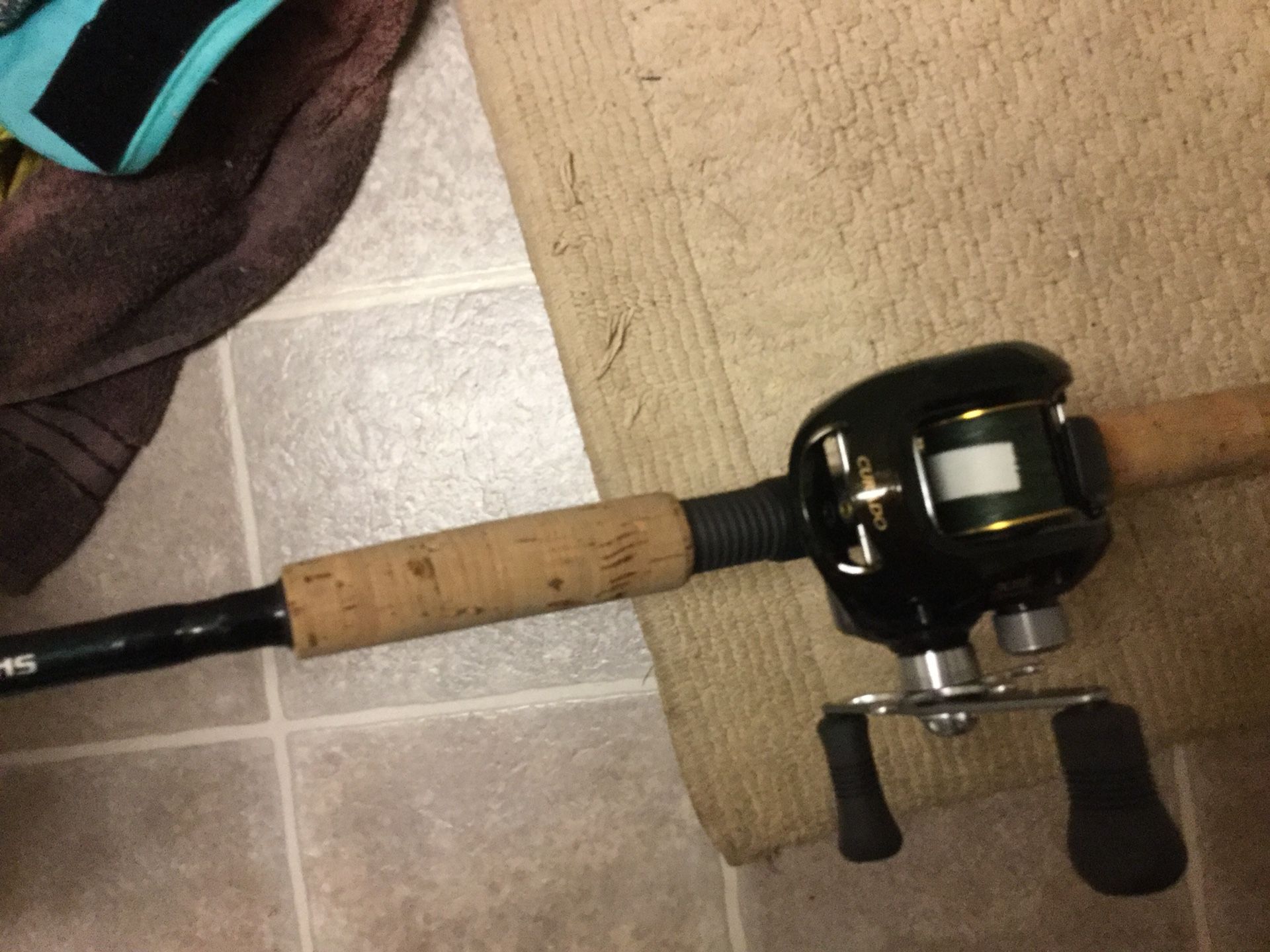 Shimano Curado 301e on a teramar rod