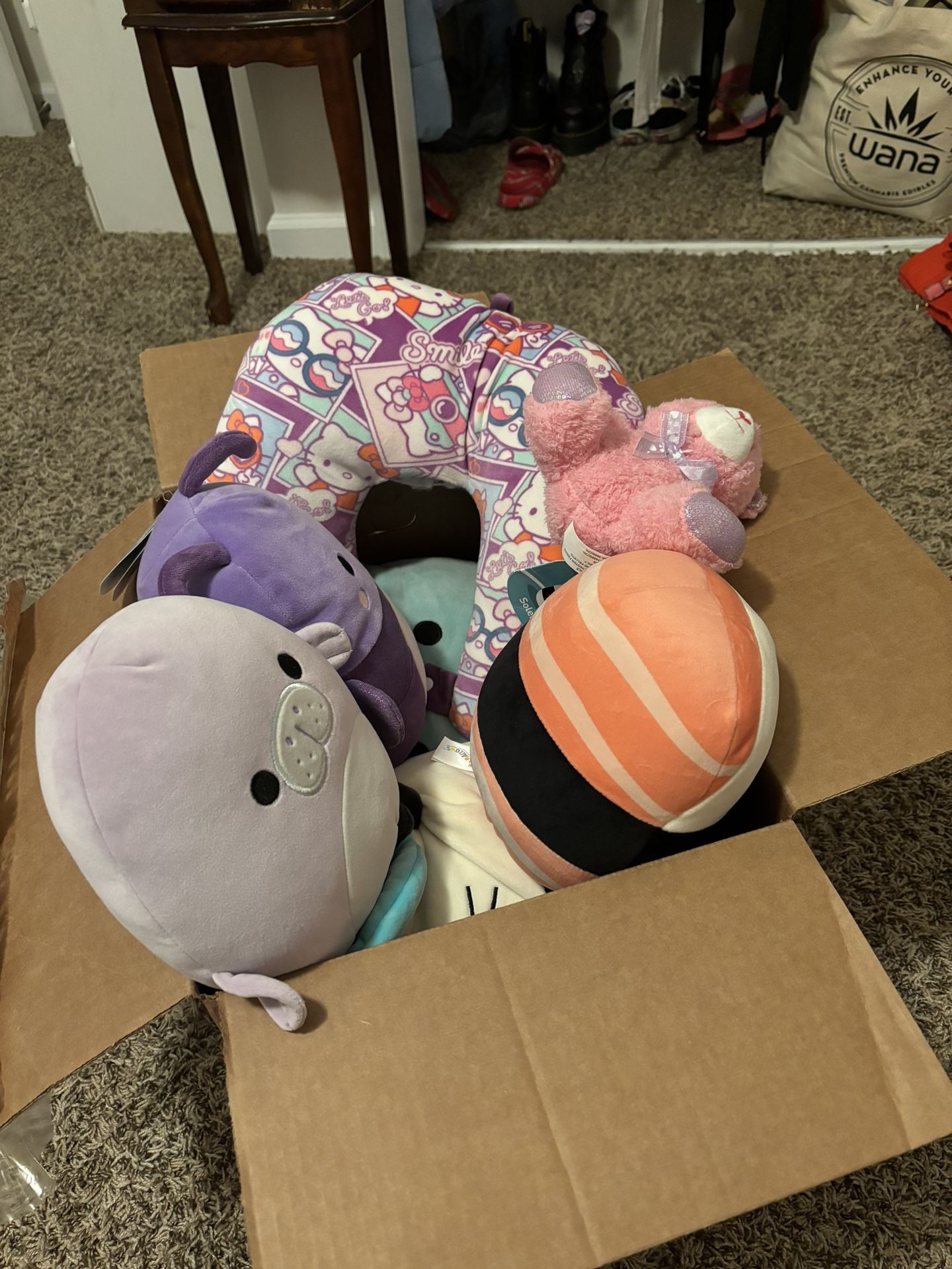 Box Of Plushies 