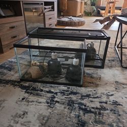 2 aquariums + reptile lights 