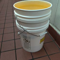 10 X 5 gallon Bucket