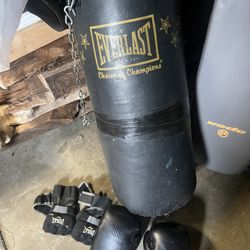 Heavy Bag and Boxing Gloves