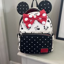 Minnie Mouse Lounge Fly