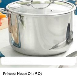 Olla De 9 Qt Princesshouse